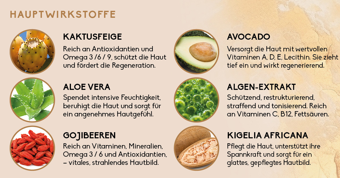 Gesichtscreme Hauptwirkstoffe