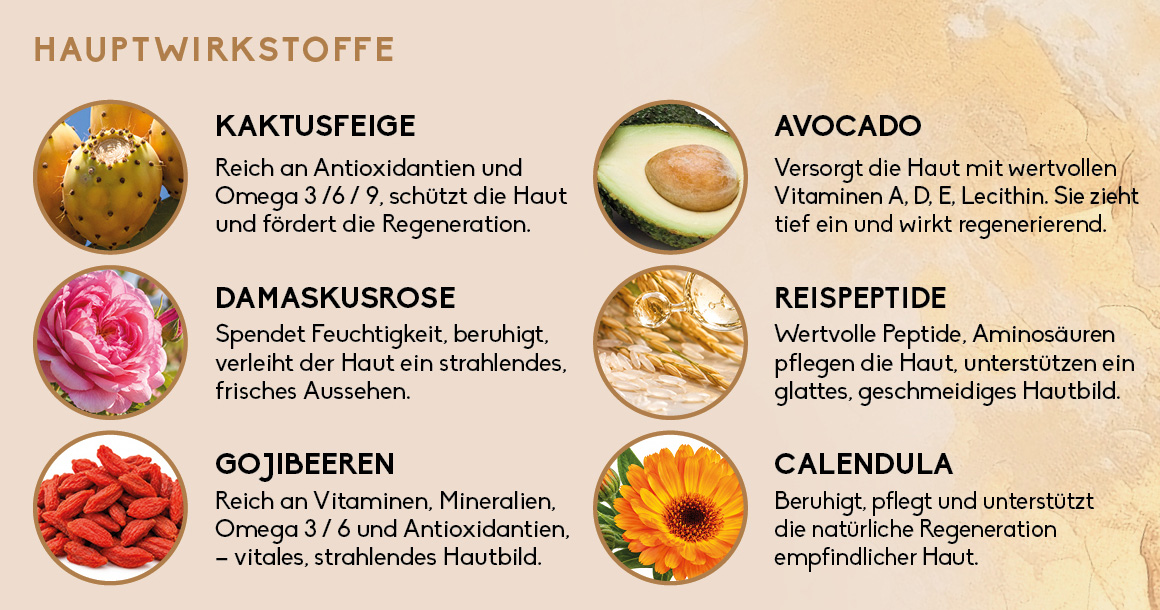 Gesichtsserum Hauptwirkstoffe